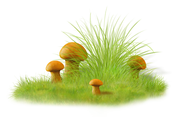 Поляна с грибами мультяшная