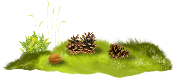 Лесная Поляна на белом фоне