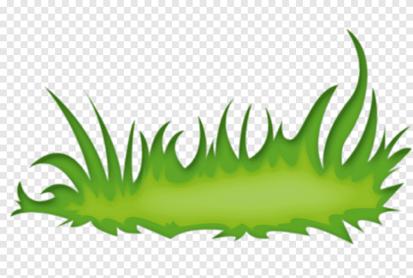 Травка рисунок