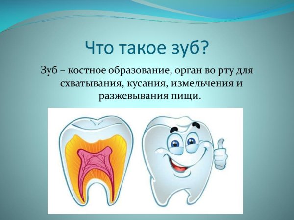 Презентация Здоровые зубы