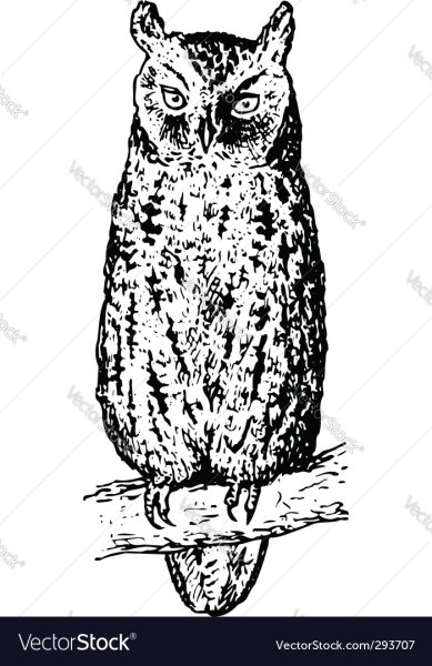 Сплюшка рисунок