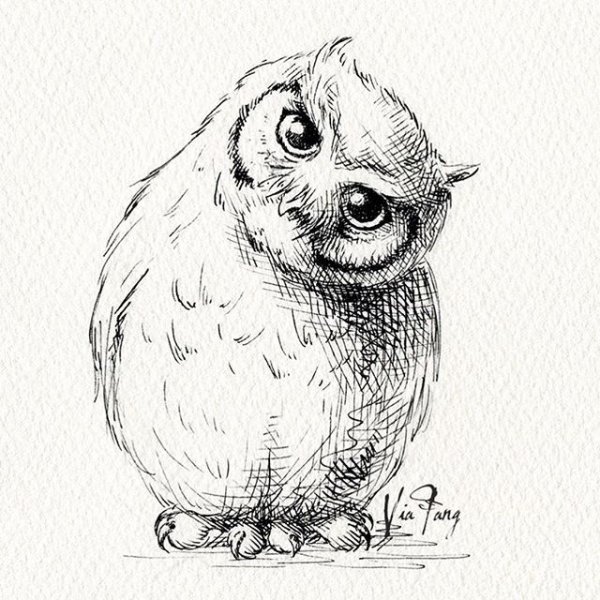 Зарисовки Совы