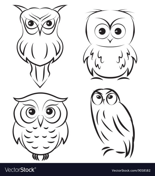 Векторное изображение Совы