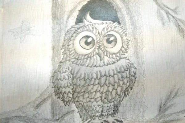 Рисование Совы штрихами