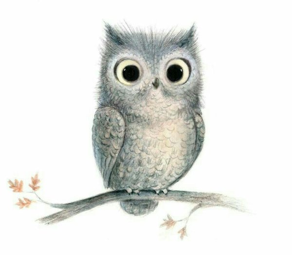 Милые Совушки