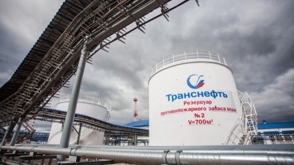 ПАО Транснефть лого