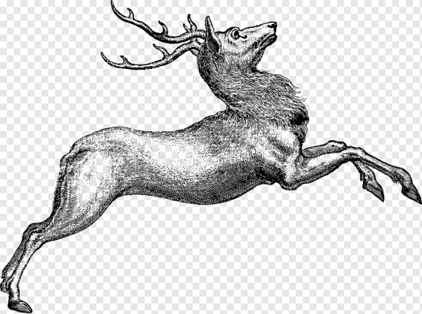 Олень Графика