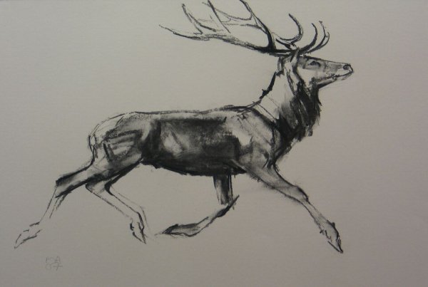 Эскиз бегущего оленя