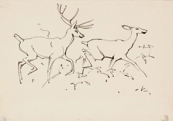 Бегущий олень рисунок