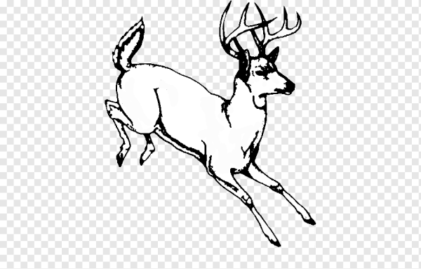 Бегущий олень карандашом