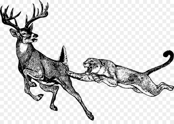 Олень в прыжке рисунок