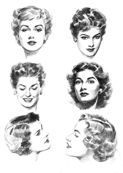 Эндрю Лумис пропорции головы