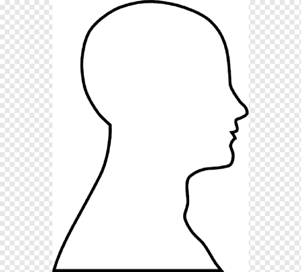 Очертания головы