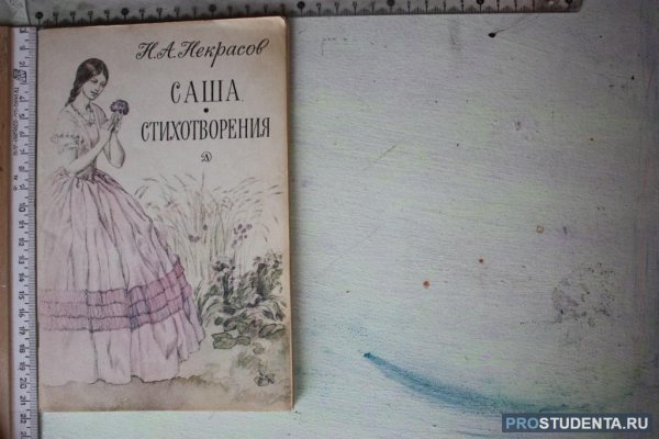 Николай Некрасов Саша