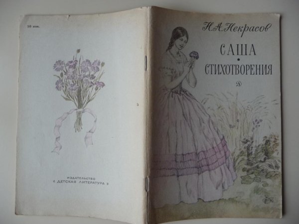 Книга Некрасова Саша