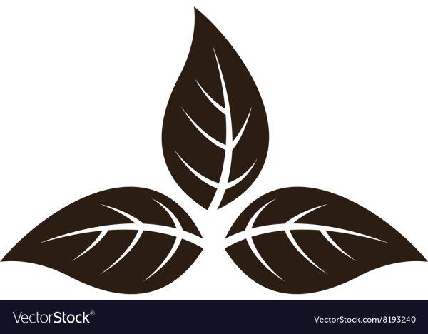 Листья табака