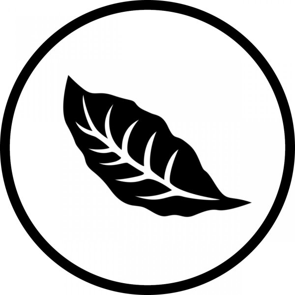 Лист табака вектор