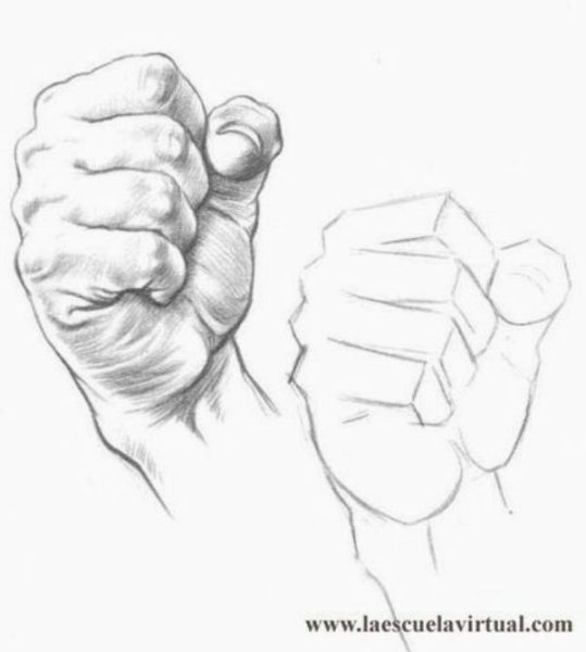 Рука в кулаке сбоку референс