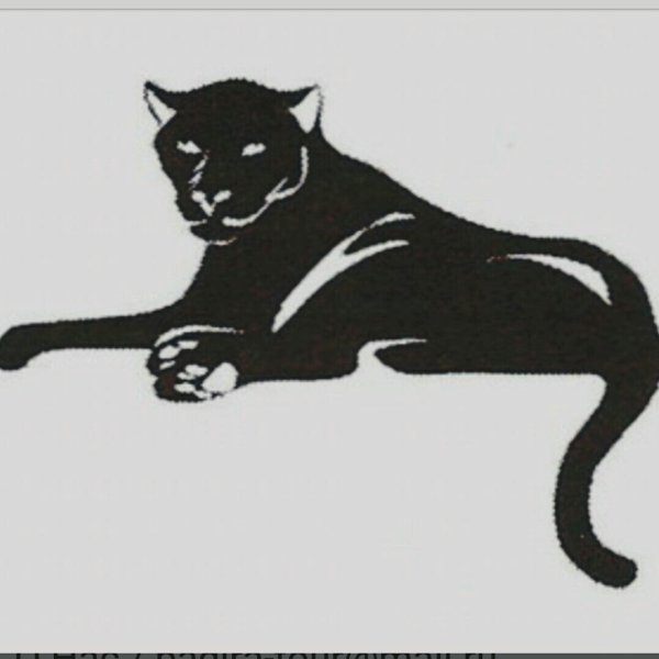 Силуэт пантеры лежит