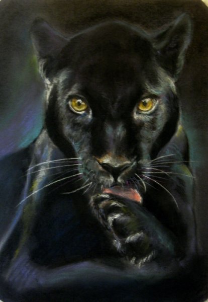 Пантера Багира