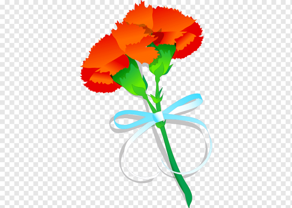 Гвоздика оранжевая