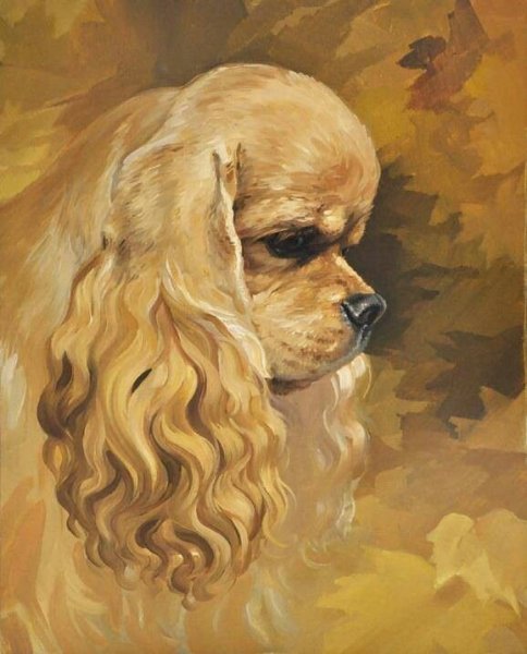 Американский кокер спаниель арт