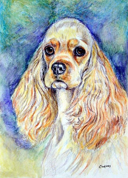 Английский кокер спаниель акварель