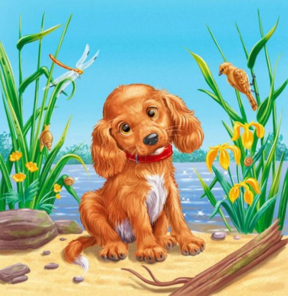 Художник-иллюстратор Константин Саланда