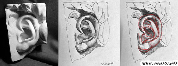 Построение уха Давида Академический рисунок