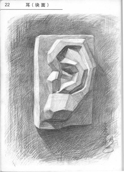 Академический рисунок уха Давида