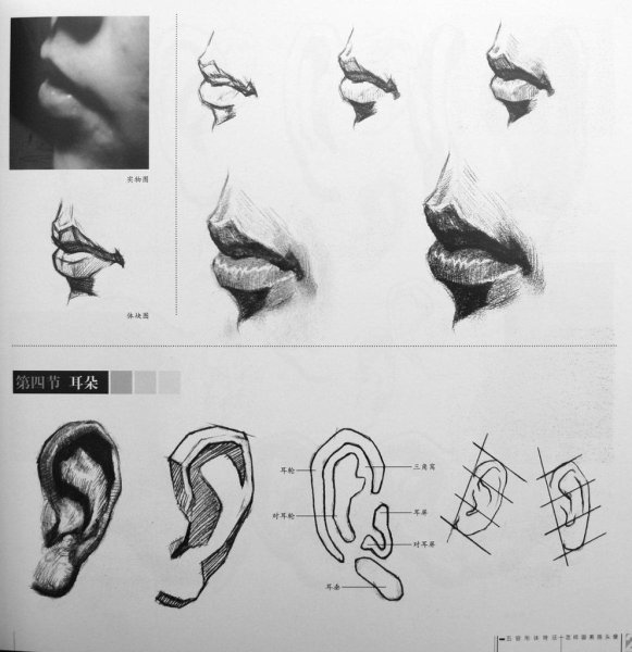 Построение уха Давида Академический рисунок