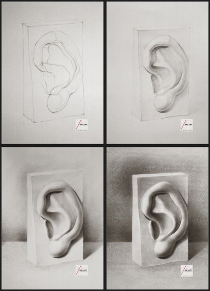 Линейно конструктивный рисунок уха Давида