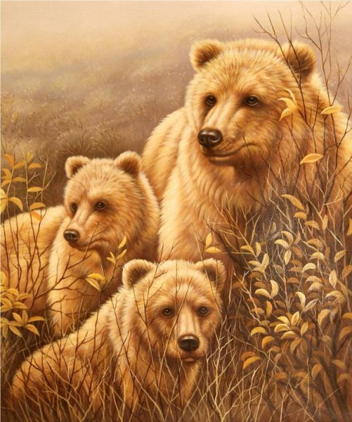 Мишки Тедди семья