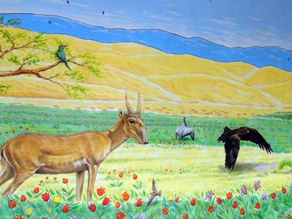 Природа Казахстана рисунки