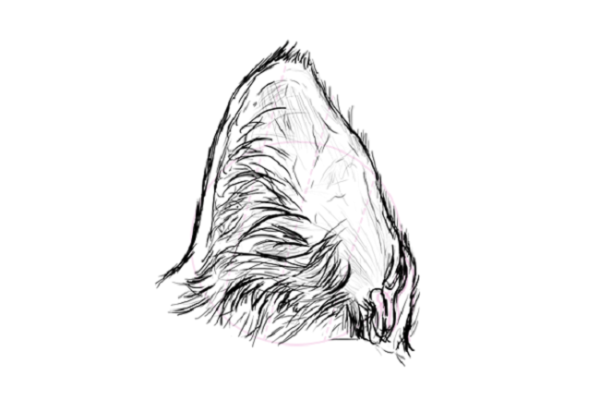 Кошачьи уши рисунок