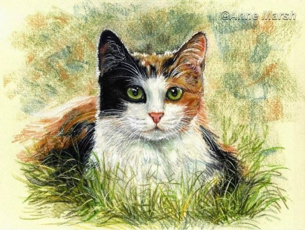 Трехцветные картины