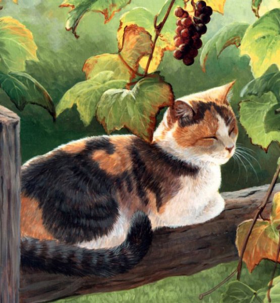 Трехцветные картины