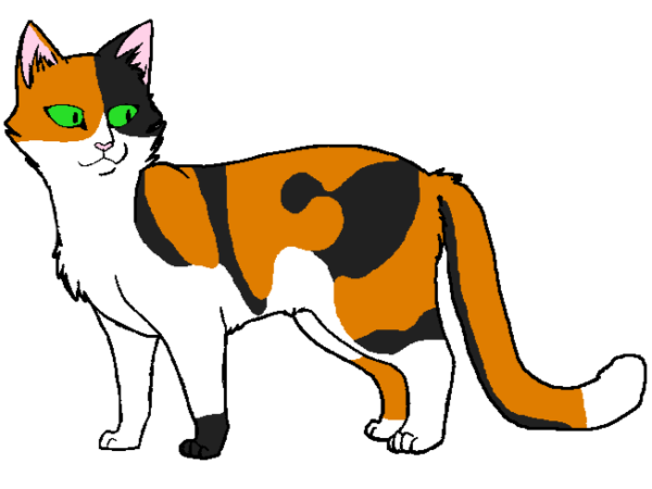 Коты Воители окрасы трёхцветные