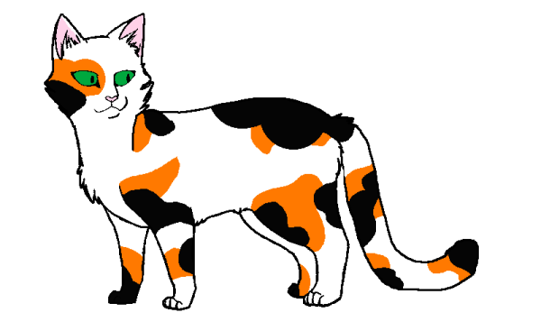 Коты Воители черепаховые коты