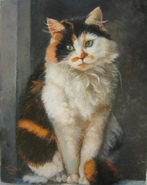 Трёхцветная кошка портрет