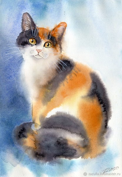 Трёхцветная кошка