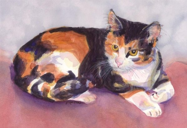 Трехцветная кошка акварелью