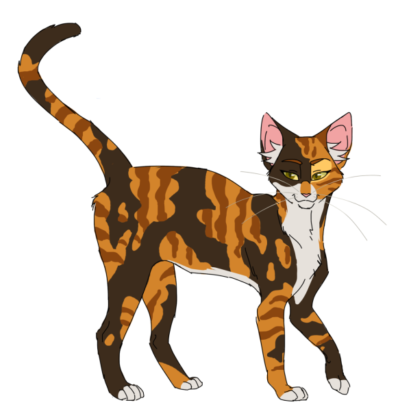 Пестроликая коты Воители