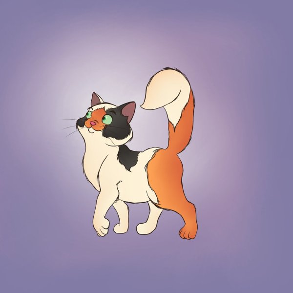 Трёхцветная кошка вектор