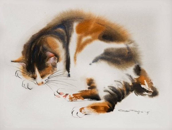 Кошка акварелью