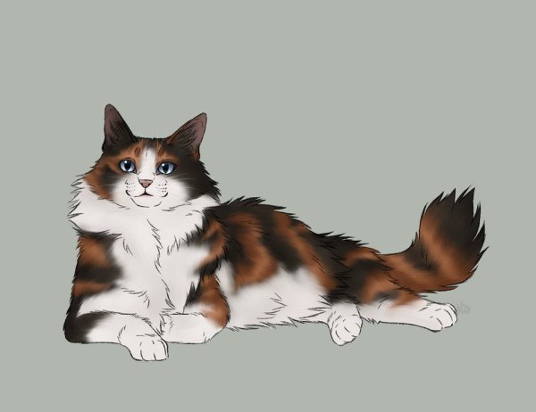 Коты Воители Пестролистая аниме