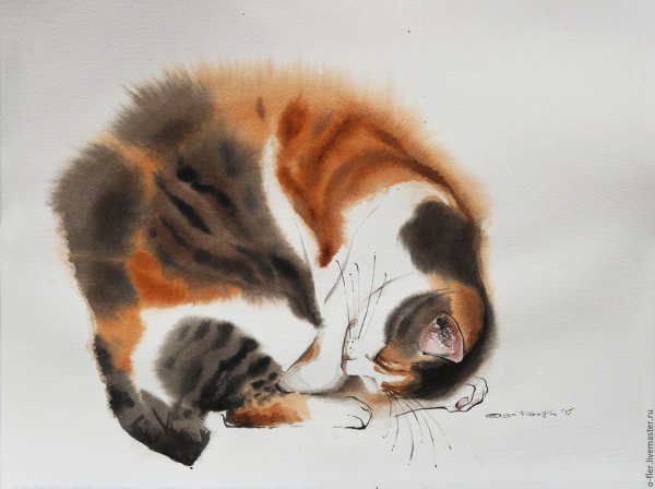 Коты Воители Пестролистая