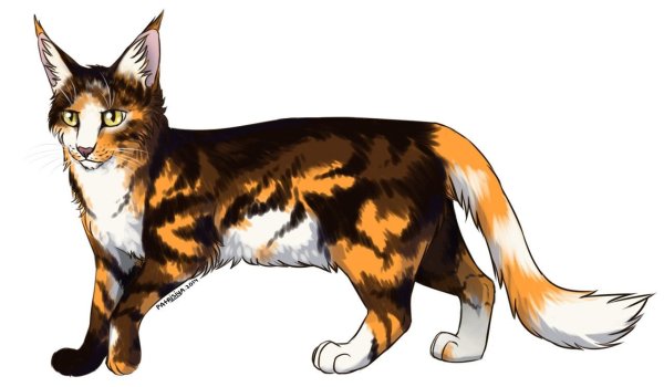 Трехцветная кошка иллюстрация