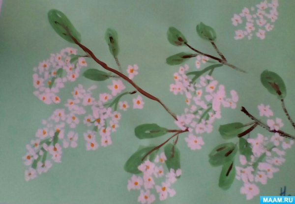 Рисование Цветущая ветка в средней группе