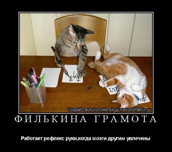 Филькина грамота картинки